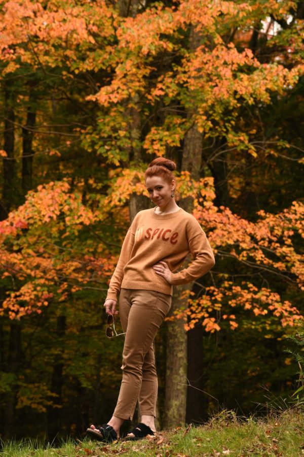 LOFT Pumpkin Spice Sweater