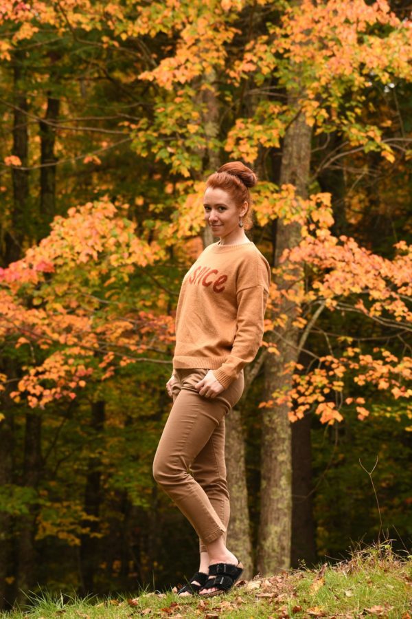 LOFT Pumpkin Spice Sweater