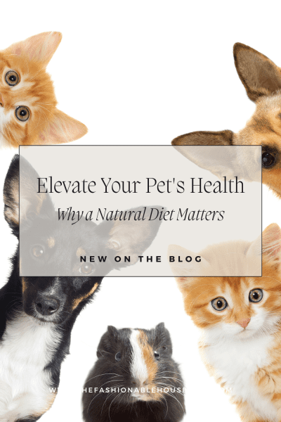 Elevate Your Pet's Health: Why a Natural Diet Matters